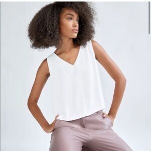 Aritzia Babaton Sleeveless Murphy Blouse | Size S